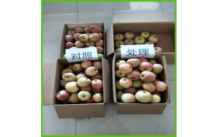 辛集市范家莊蘋果使用阿爾格